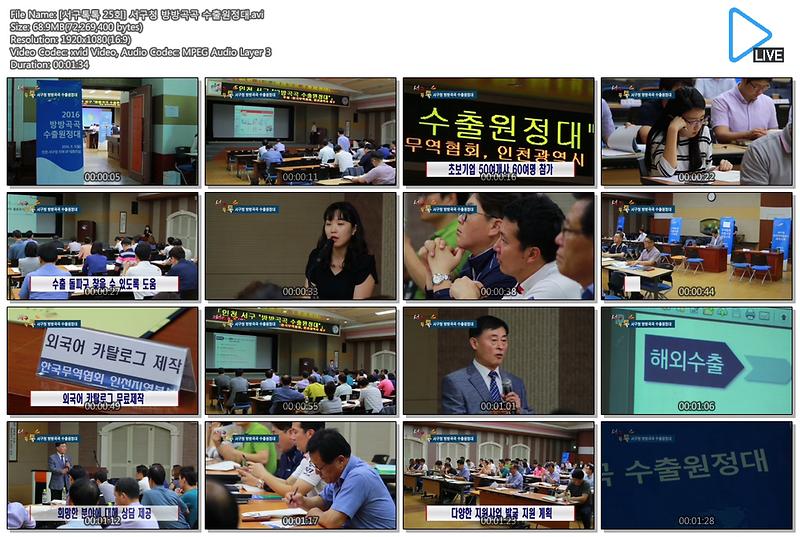 [서구톡톡 25회] 서구청 방방곡곡 수출원정대 사진